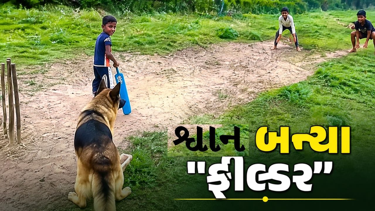 Trending Video : વિકેટકીપર અને ફીલ્ડર બન્યા શ્વાન Video સોશિયલ મીડિયા પર વાયરલ