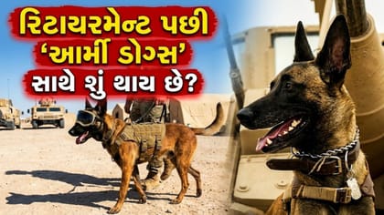 દેશની રક્ષા કરનારા 'આર્મી ડોગ્સ' નિવૃત્તિ પછી ક્યાં જાય છે?