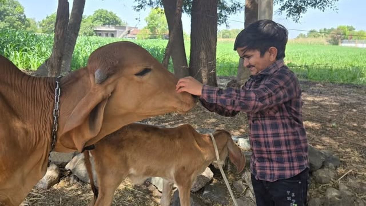 અમિતાભ બચ્ચનના શો કૌન બનેગા કરોડપતિ 18માં દુનિયાનો સૌથી નાની હાઈટનો ડોક્ટર ગણેશ બારૈયા હોટસીટ પર પહોંચ્યા હતા. ભાવનગરના ડોક્ટર ગણેશ બારૈયાના પરિવાર તેમજ તેના સંધર્ષની સ્ટોરી વિશે જાણીએ.