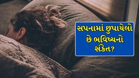 રાત્રે આવતા સપના આપે છે ભવિષ્યનો સંકેત?