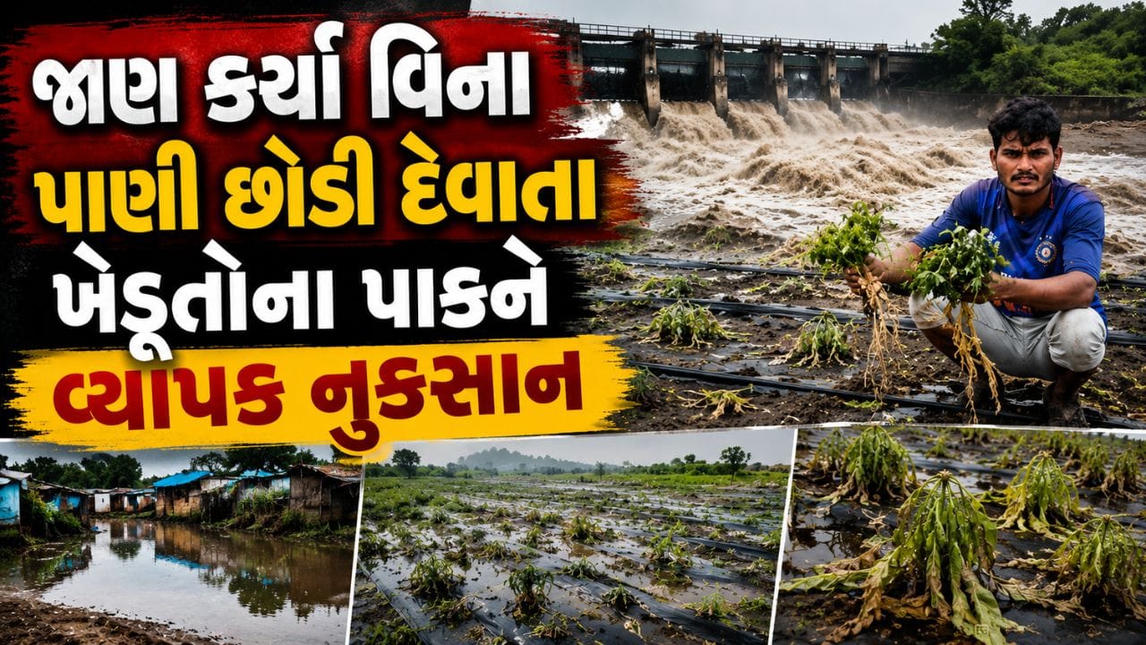 વડોદરાના ડભોઈમાં ભારે વરસાદ: ઢાઢર નદીના પૂરથી 10 ગામોમાં તારાજી, ખેડૂતોની વ્યથા