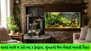 ઘરમાં આજે જ કરો આ 3 સરળ ફેરફાર, ચુંબકની જેમ ખેંચાઈને આવશે ધન-દૌલત ! જાણો અસરકારક ફેંગશુઈ ટિપ્સ