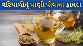 વરિયાળીનું પાણી પીવાના છે 5 અસરકારક ફાયદા !
