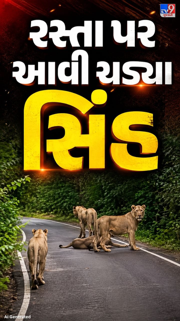 રોડ પર આરામ કરતા સાવજ