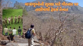 ગીરનારમાં યાત્રાળુઓની સુરક્ષાને ધ્યાને રાખી સરકારે લીધો મોટો નિર્ણય
