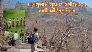 ગીરનાર જતા યાત્રાળુઓની સુરક્ષાને ધ્યાને રાખી સરકારનો મોટો નિર્ણય, ગીરનારના ત્રણેય માર્ગો પર 25 પ્રશિક્ષિત ટ્રેકર્સ કરાશે તૈનાત