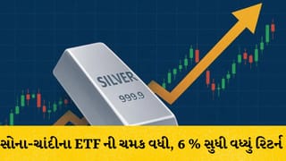 ગોલ્ડ-સિલ્વર ETF માં જબરદસ્ત તેજી: ચાંદીના ઇટીએફ 6% સુધી ઉછળ્યા, જાણો રોકાણકારોને કેમ મળી રહ્યો છે બમ્પર નફો