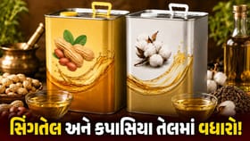 તહેવારો ટાણે જ ખાદ્યતેલના ભાવમાં ભડકો! Video