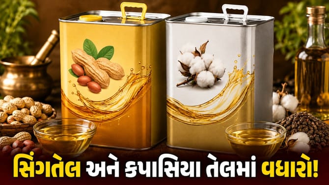 તહેવારો ટાણે જ ખાદ્યતેલના ભાવમાં ભડકો! Video