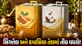 તહેવારોની સિઝનમાં ગૃહિણીઓનું બજેટ ખોરવાશે, તેલમાં તીવ્ર વધારો! Video
