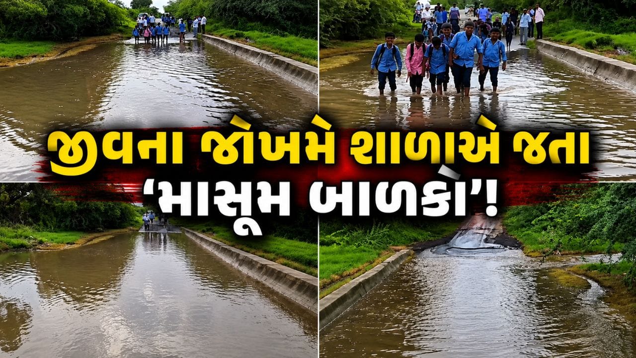 બેચરાજીમાં સુરપુરા-વેણપુરાને જોડતો કોઝવે પાણીમાં ગરકાવ, 50 જેટલા બાળકો જીવના જોખમે શાળાએ જવા મજબૂર - જુઓ Video બેચરાજીમાં સુરપુરા-વેણપુરાને જોડતો કોઝવે પાણીમાં ગરકાવ, 50 જેટલા બાળકો જીવના જોખમે શાળાએ જવા મજબૂર - જુઓ Video