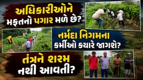 25 ખેડૂતો જીવના જોખમે સાપ વચ્ચે કેનાલ સાફ કરવા મજબૂર