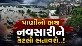 નવસારીમાં નદીઓ ગાંડીતૂર, રાહત અને બચાવ કાર્ય પુરજોશમાં, જુઓ Video