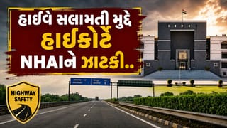 હાઈવે સલામતી મુદ્દે ગુજરાત હાઈકોર્ટે NHAIને ઝાટકી, યોગ્ય ફેન્સિંગ અને ટોલ ઉઘરાણી સામે નારાજગી