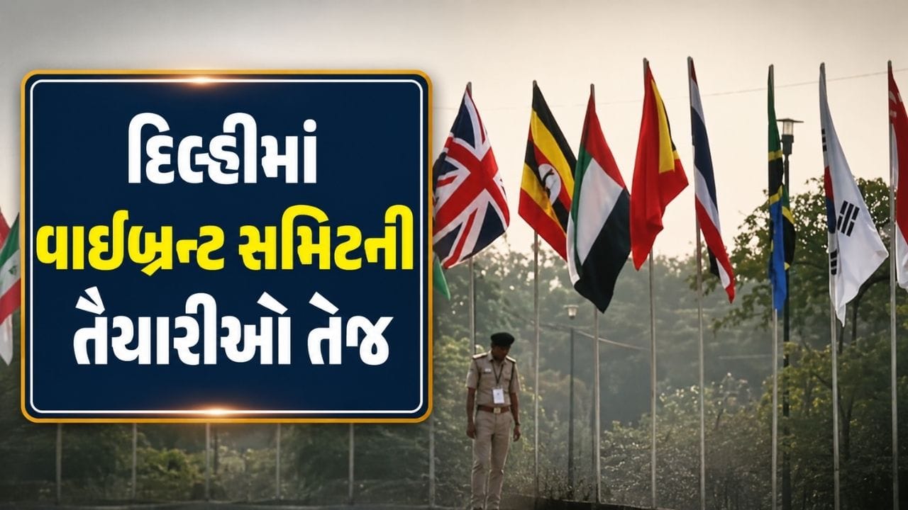 વિકાસની દિશામાં ગુજરાત, 31 ઓગસ્ટે દિલ્હીમાં વાઇબ્રન્ટ સમિટની તૈયારીઓ તેજ, જુઓ Video