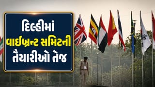 વિકાસની દિશામાં ગુજરાત, 31 ઓગસ્ટે દિલ્હીમાં વાઇબ્રન્ટ સમિટની તૈયારીઓ તેજ, જુઓ Video