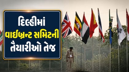 31 ઓગસ્ટે દિલ્હીમાં વાઇબ્રન્ટ સમિટની તૈયારીઓ તેજ, જુઓ Video