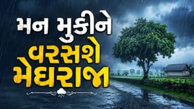 દક્ષિણ ગુજરાતમાં આજે બે થી ત્રણ જિલ્લામાં યલો એલર્ટ