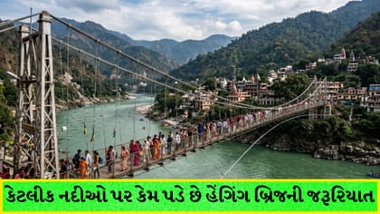 નદીઓ પર પિલરને બદલે હેંગિંગ બ્રિજ કેમ બનાવાય છે? જાણો મુખ્ય કારણો