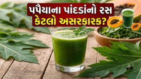 ડેન્ગ્યુના દર્દીઓએ દિવસમાં કેટલો પપૈયાના પાંદડાંનો રસ પીવો જોઈએ?