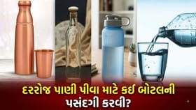 સ્ટીલ, કાચ કે કોપર? પાણી પીવા માટે કઈ બોટલ સૌથી 'સુરક્ષિત'?