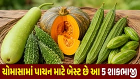 ચોમાસામાં બીમારીઓ રહેશે કોસો દૂર, આજે જ ડાયટમાં સામેલ કરો આ 5 શાકભાજી!