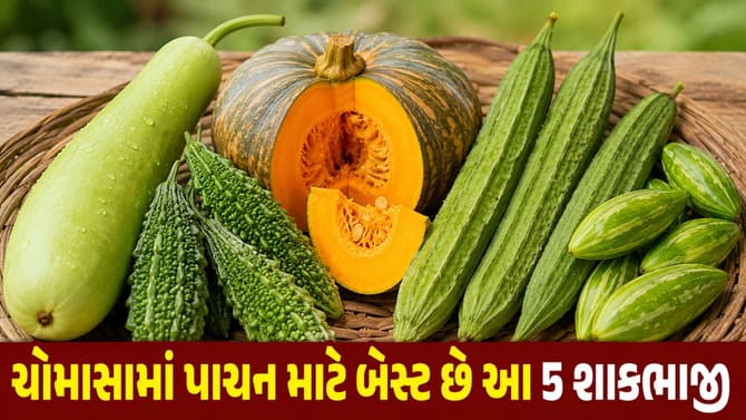 ચોમાસામાં બીમારીઓ રહેશે કોસો દૂર, આજે જ ડાયટમાં સામેલ કરો આ 5 શાકભાજી!