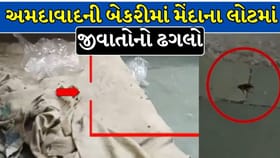 અમદાવાદમાં બે જાણીતી બેકરી સીલ, મેંદાના લોટમાં જીવાતોનો મળ્યો ઢગલો !