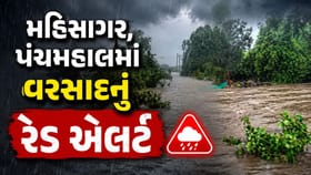 રાજ્યમાં ચાર વાગ્યા સુધી બે જિલ્લામાં અપાયુ વરસાદનું રેડ એલર્ટ
