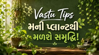Money Plant Vastu Tips: મની પ્લાન્ટ લગાવતી વખતે ભૂલથી પણ ન કરો આ કામ! વાસ્તુ અનુસાર જાણો મહત્વના નિયમો