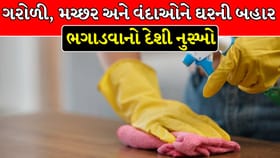 ટોઇલેટ ક્લીનરમાં આ વસ્તુઓ ભેળવી બનાવો સ્પ્રે, જીવાતો થશે ઘરમાંથી ગાયબ