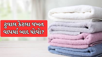 ટુવાલ કેટલા વખત વાપર્યા બાદ ધોવો જોઈએ? જાણો શું કહે છે નિષ્ણાત !