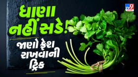 ધાણા લાંબા સમય સુધી તાજા રાખવાની સરળ ટ્રિક