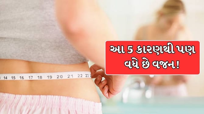 વજન કેમ વધે છે? ખાવા-પીવા સિવાય આ 5 બાબતો પણ છે જવાબદાર !