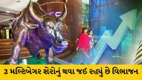 1047% રિટર્ન આપનારો મલ્ટિબેગર શેર થશે 10 ભાગમાં સ્પ્લિટ