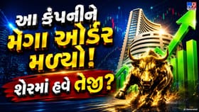 આ કંપનીને મળ્યો મોટો વિદેશી ઓર્ડર,શું હવે આ શેર બનશે રોકાણકારોની પસંદ?