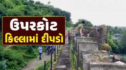 જૂનાગઢના ઐતિહાસિક ઉપરકોટ કિલ્લામાં દીપડો દેખાતા ભયનો માહોલ