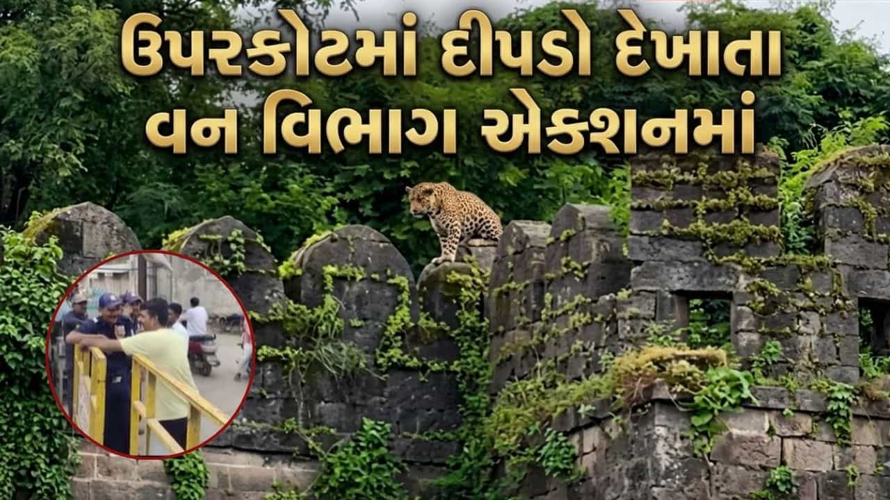 Breaking News : ઉપરકોટમાં દીપડો દેખાતા વન વિભાગ એક્શનમાં ! પ્રવાસીઓ માટે કિલ્લો બંધ, પકડવા પાંજરા પણ મુકાયા