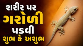 શરીર પર ગરોળી પડવી આપે છે શુભ-અશુભ સંકેત, જાણો શુકન શાસ્ત્રના નિયમો