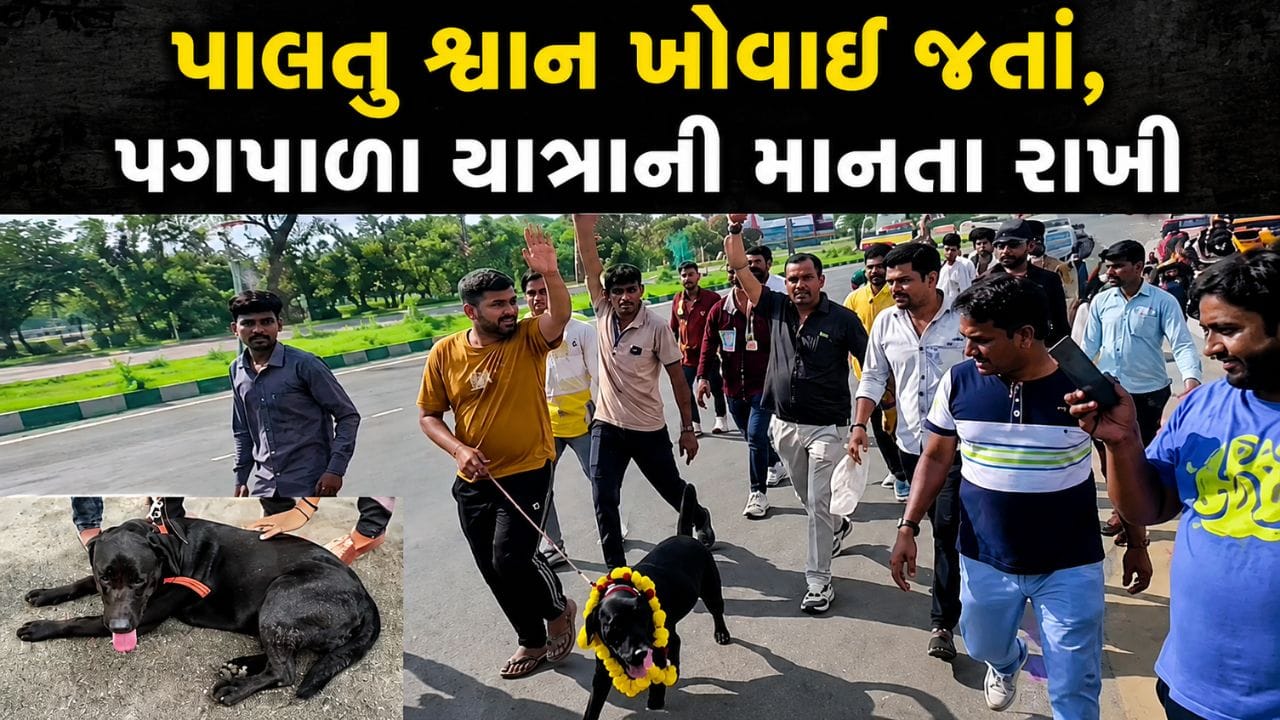પાલનપુરમાં હોટલ માલિકની અતૂટ આસ્થા, 4 મહિના પહેલાં ખોવાયેલો ડોગ પરત મળતાં અંબાજીની પગપાળા યાત્રા શરૂ કરી