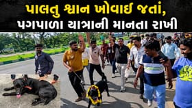 પાલનપુરના હોટલ માલિકનો ડોગ મળતાં અંબાજીની પગપાળા યાત્રા શરૂ
