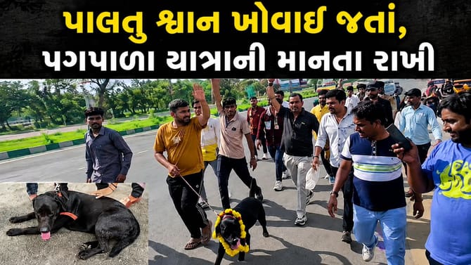 પાલનપુરના હોટલ માલિકનો ડોગ મળતાં અંબાજીની પગપાળા યાત્રા શરૂ