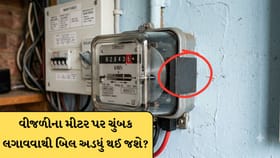 શું વીજળીના મીટર પર ચુંબક લગાવવાથી બિલ અડધું થઈ જશે?