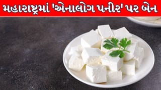 Maharashtra Breaking News : મહારાષ્ટ્રમાં એનાલોગ પનીર પર લાગ્યો પ્રતિબંધ, છત્તીસગઢ પછી આવું કરનારું ભારતનું બન્યું બીજું રાજ્ય !