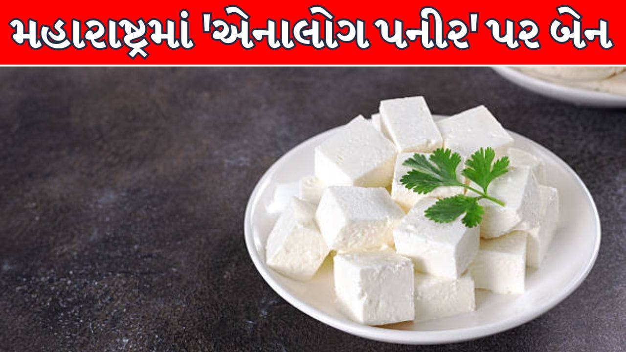 Maharashtra Breaking News : મહારાષ્ટ્રમાં એનાલોગ પનીર પર લાગ્યો પ્રતિબંધ, છત્તીસગઢ પછી આવું કરનારું ભારતનું બન્યું બીજું રાજ્ય !
