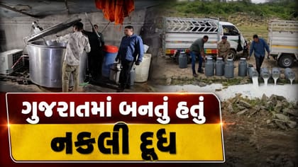 નકલી દૂધ પર ગુજરાતના કાલાવડમાં રાજકોટ રેન્જ પોલીસના દરોડા, જુઓ Video