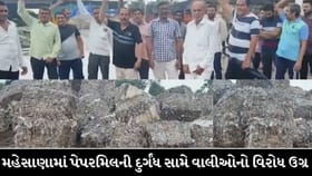 બાળકોની તબિયત લથડતા પેપરમિલ સામે વાલીઓનો રોષ, શાળા બહિષ્કારની ચીમકી