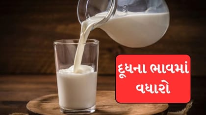 મુંબઈમાં દૂધ મોંઘું: 1 સપ્ટેમ્બરથી પ્રતિ લિટર રૂ.9નો વધારો, ભાવ રૂ.102