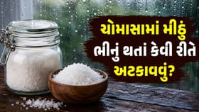 ચોમાસામાં મીઠું ભીનું થતાં કેવી રીતે અટકાવવું?