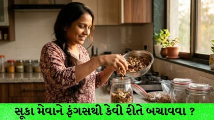 ચોમાસામાં ડ્રાયફ્રૂટ્સને ફંગસથી કેવી રીતે બચાવવા? જાણો ટિપ્સ